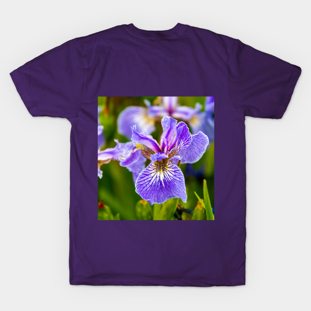 Purple Iris Flower by SafariByMarisa